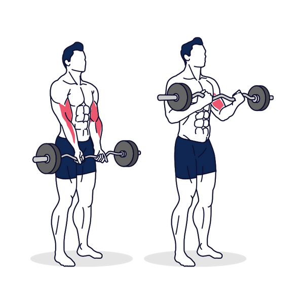 How to do EZ Barbell Curl with Proper Form at Simply Fitness