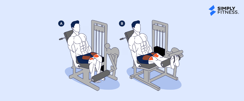 Leg extension