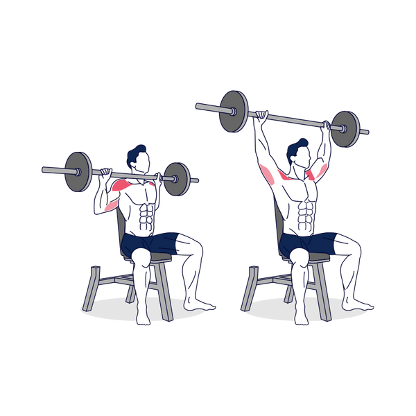 How to do Seated Barbell Shoulder Press with Proper Form? – Simply