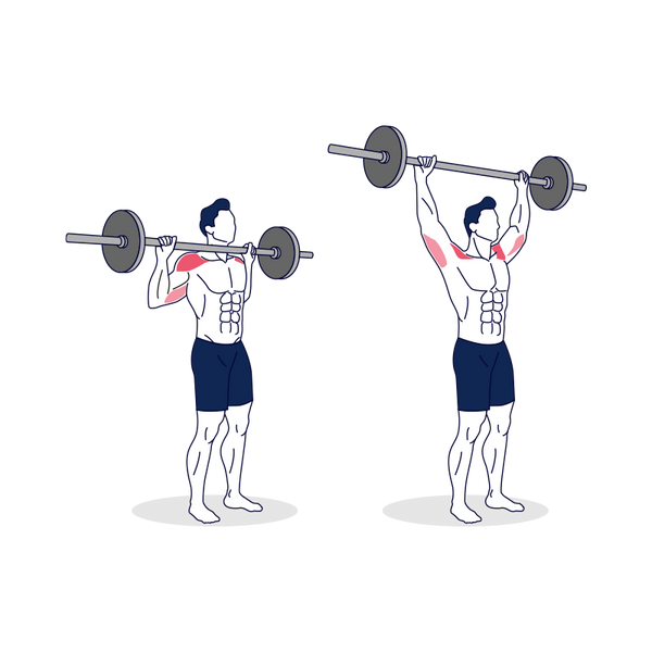 How to Do Barbell Shoulder Presses The Right Way at Simply Fitness