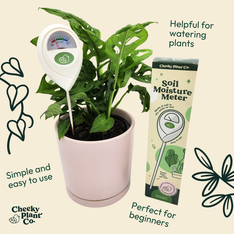 plant care tools & accessories - plant moisture meter