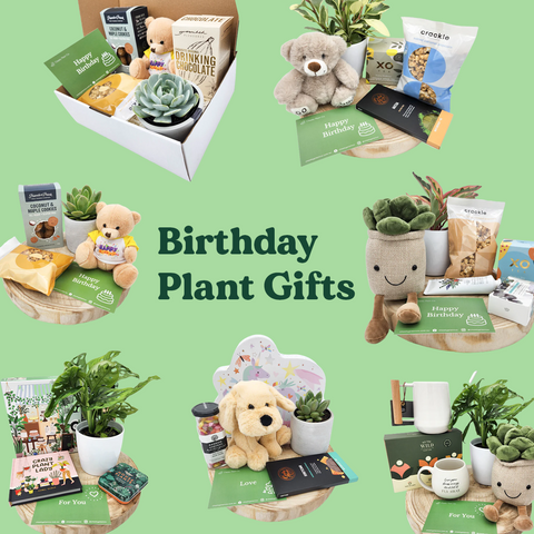 birthday plant gifts