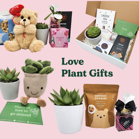 love plant gifts