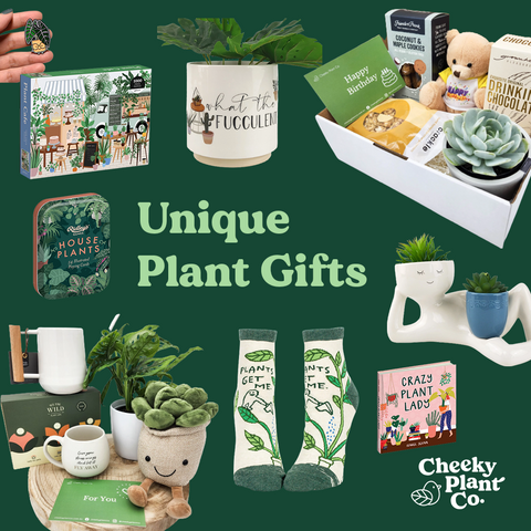 unique plant gifts