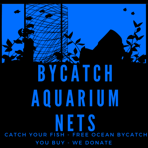 About Us – Bycatch Aquarium Net's