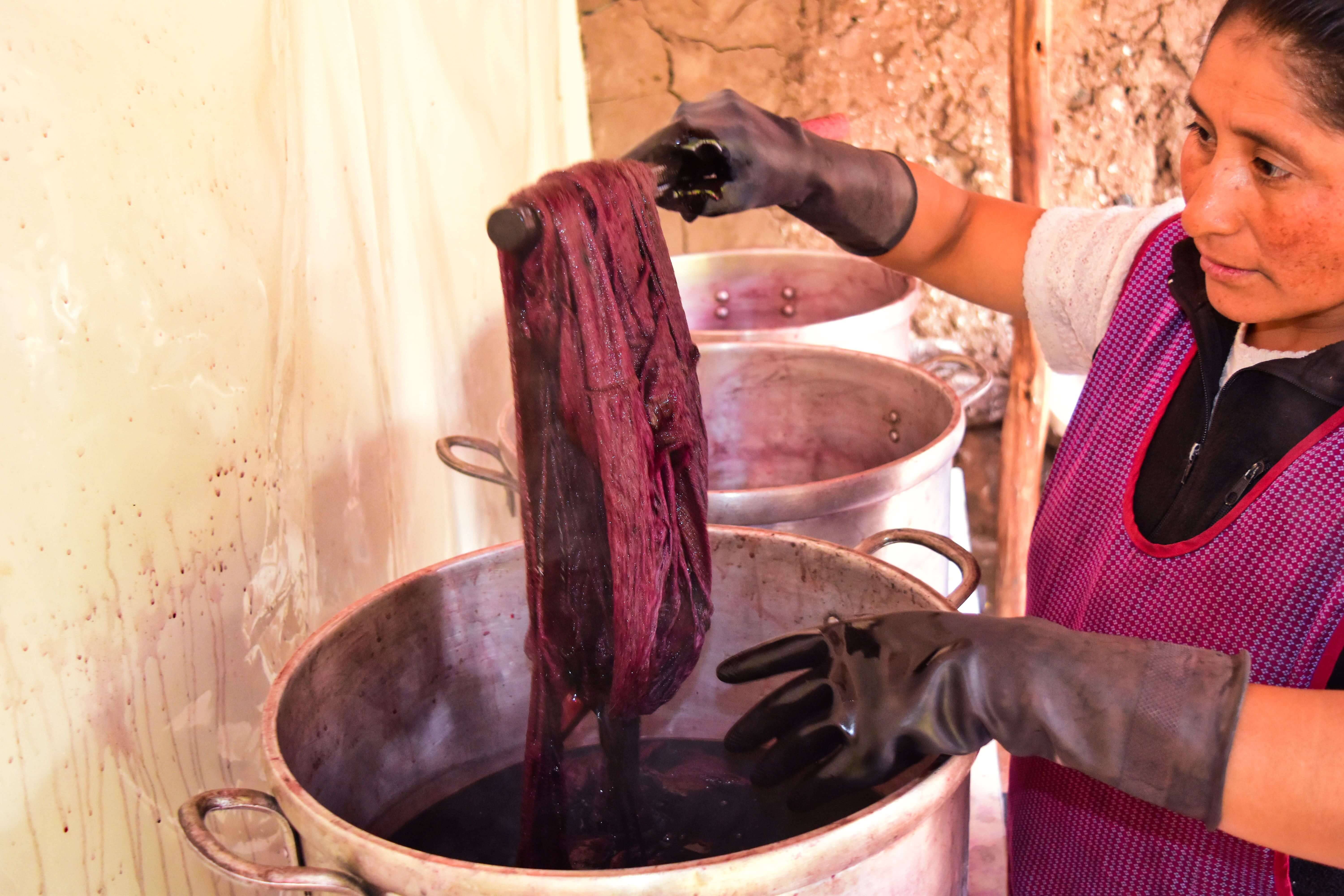 A woman dyes an Alpaca sweater using cochineal 