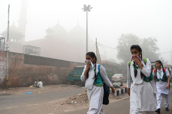 impact of smog