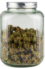 Hemp buds in jar