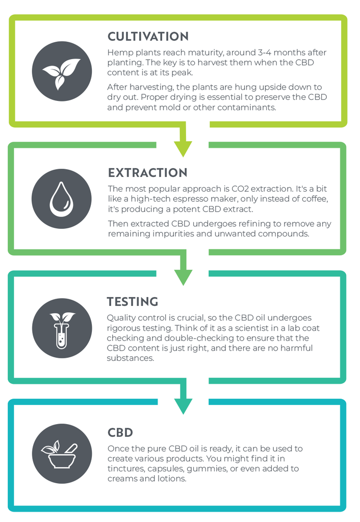 How Hemp is transformed to CBD