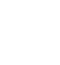 Butterfly Net Icon
