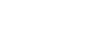 Dollar Bill Icon