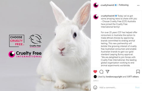 Cruelty Free certification bunny