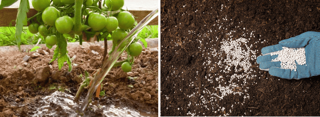 soil inoculant vs fertilizer