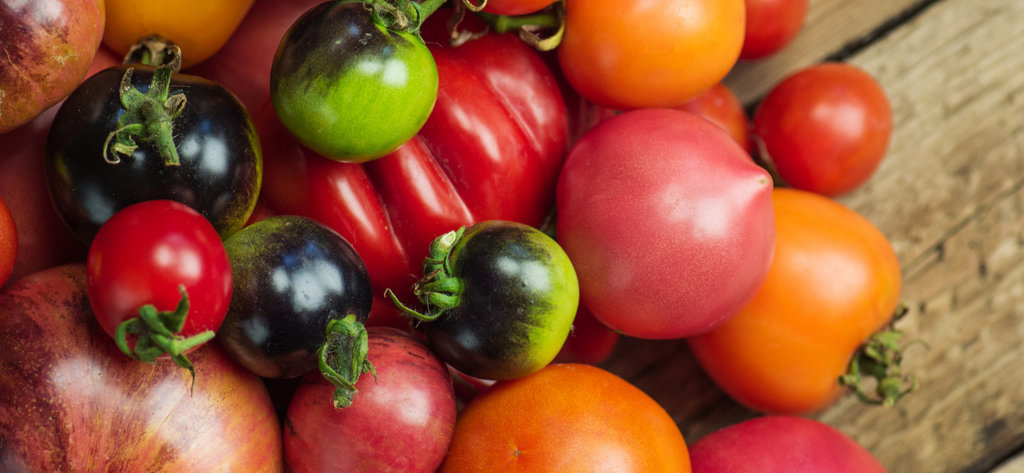 Tomato Varieties