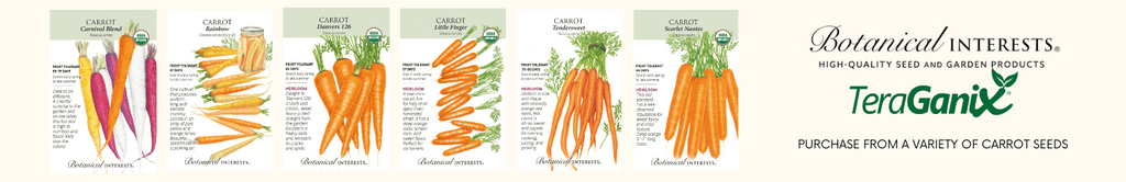 organic non-gmo carrot seeds