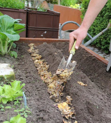 composting