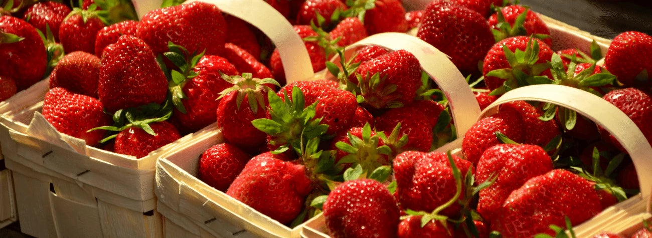 growing-strawberries-guide