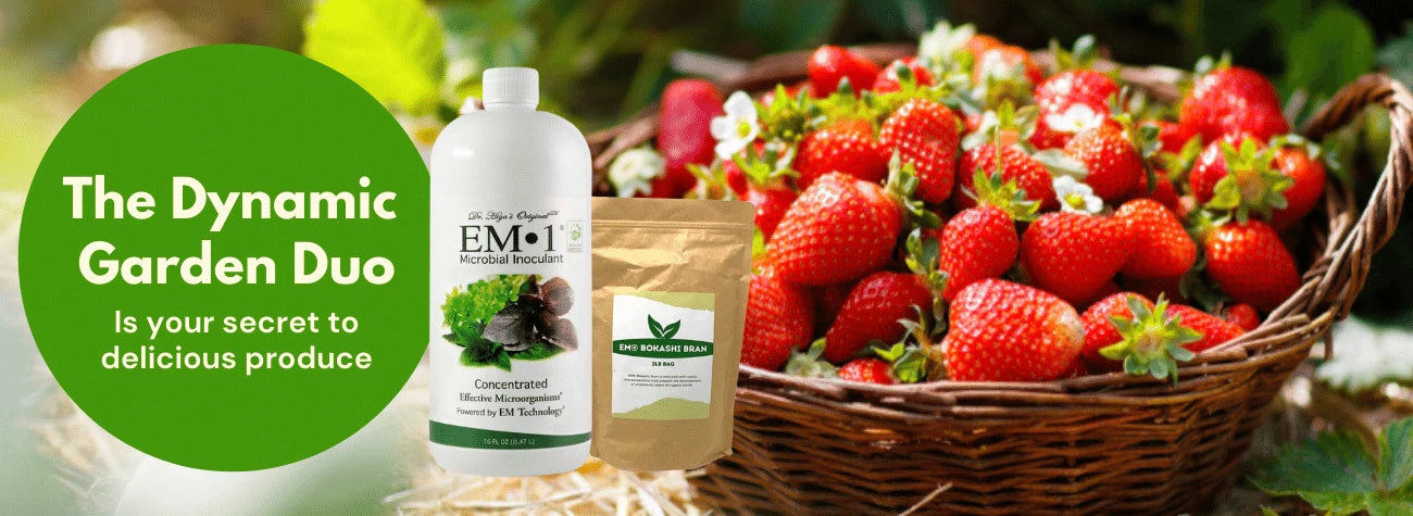 em-1-strawberry