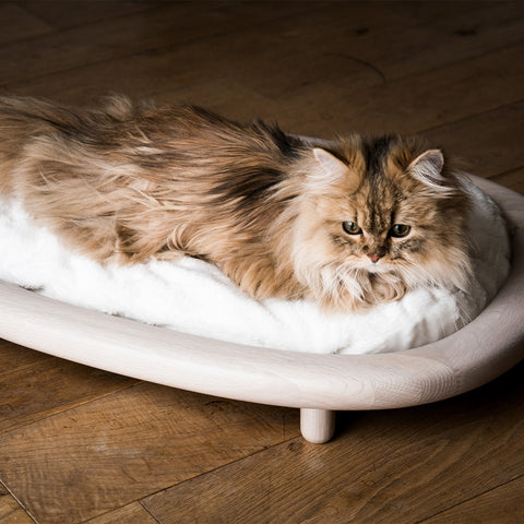 Karimoku Cat Bed Made of Wood | at Made Moggie