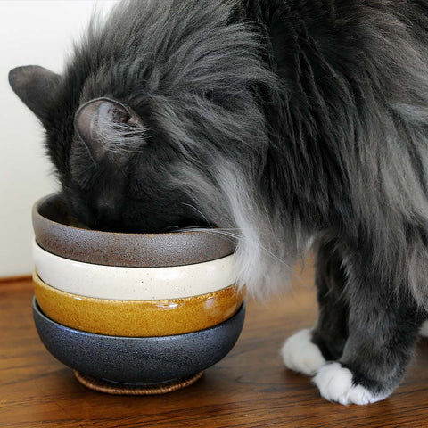Ceramic Cat Bowls | at Made Moggie