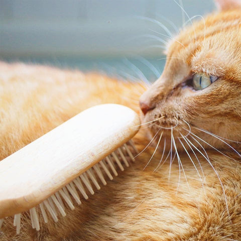 Wood Pin Cat Brush | at Made Moggie