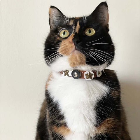 Leather Cat Collar - Black & White Range | at Made Moggie