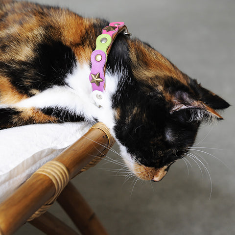 Leather Cat Collar With Safety Elastic | at Made Moggie