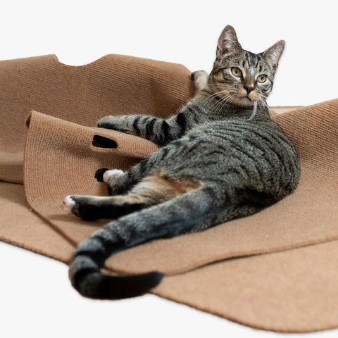 The Playmat Cat Interactive Mat | at Made Moggie