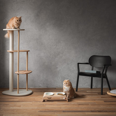 Karimoku Cat Tree & Cat Stand | at Made Moggie