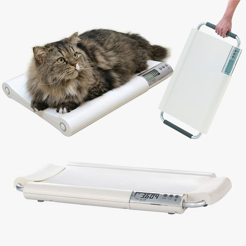 MS2410 Veterinary Digital Scale for Dogs, Cats & Small Animals