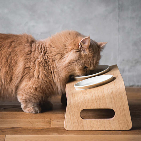 Karimoku Cat Raised Cat Bowl Stand | at Made Moggie