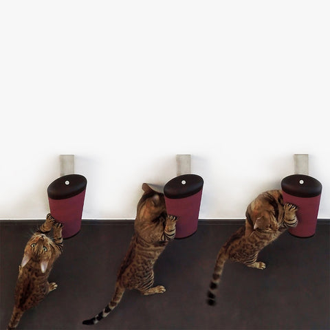 Brandodesign's Fuso Cat Scratching Post | at Made Moggie