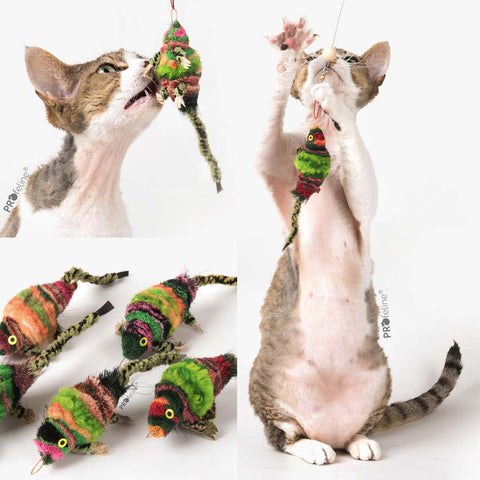 Chameleon Cat Toy | at Made Moggie