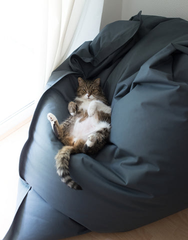 Bean Bag Cat Bed