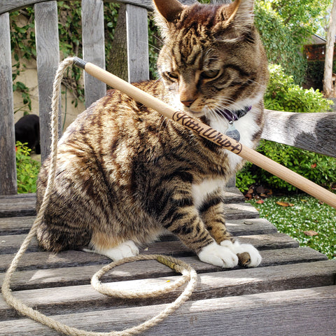 KittyWhip+ Hemp Cat Toy Teaser | at Made Moggie