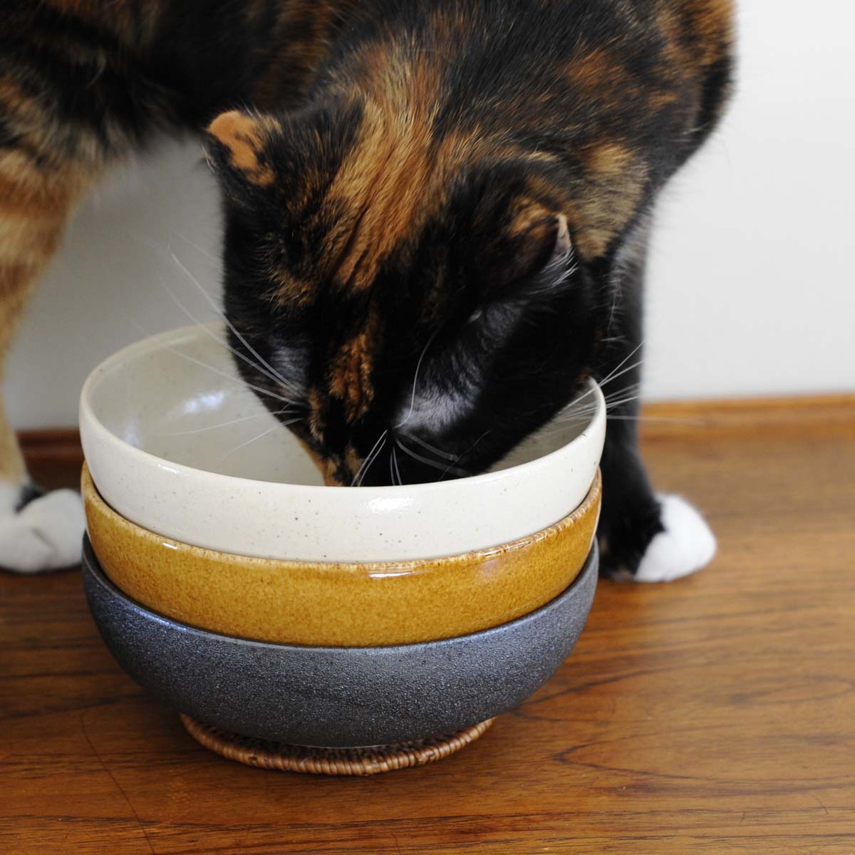 cream cat bowl