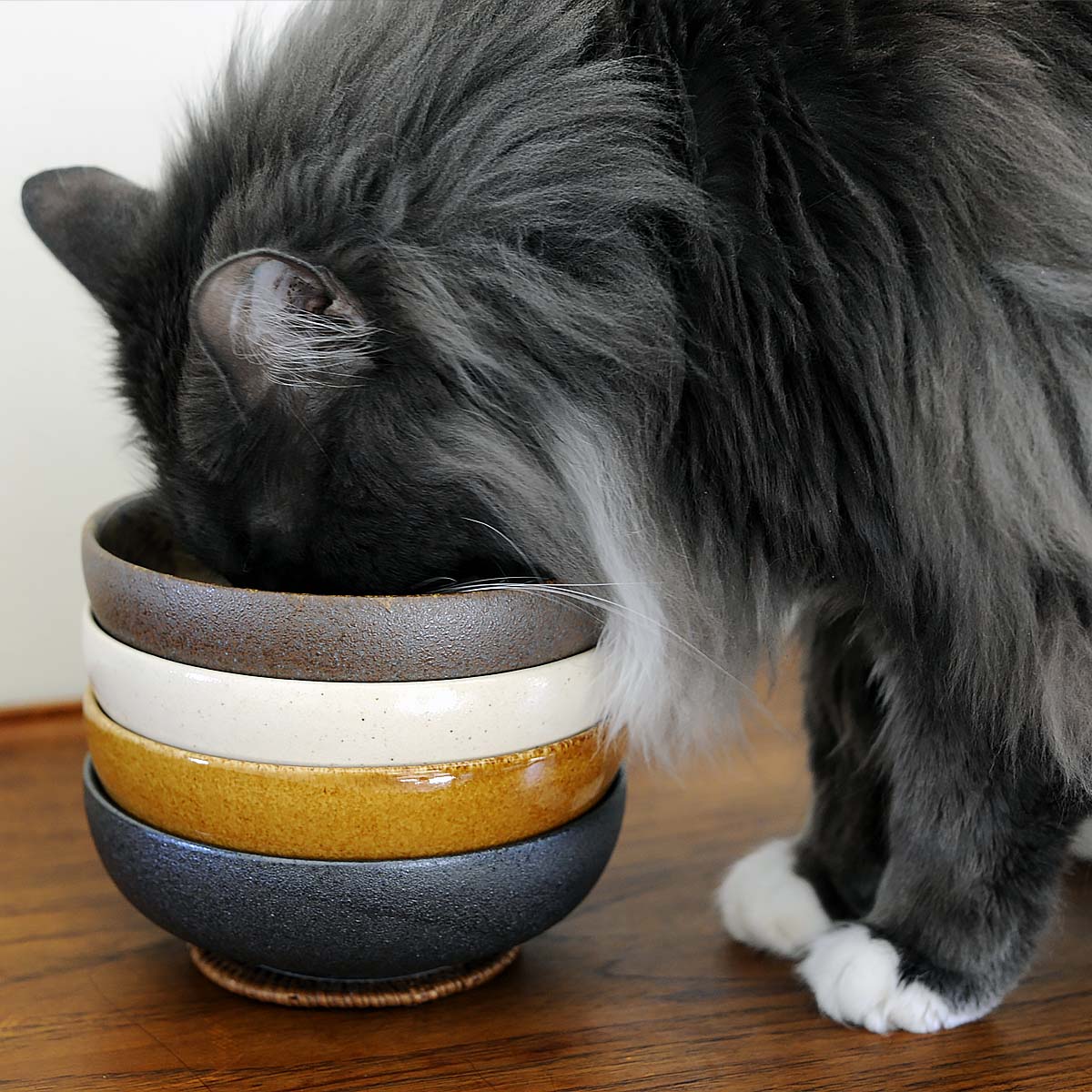 cream cat bowl