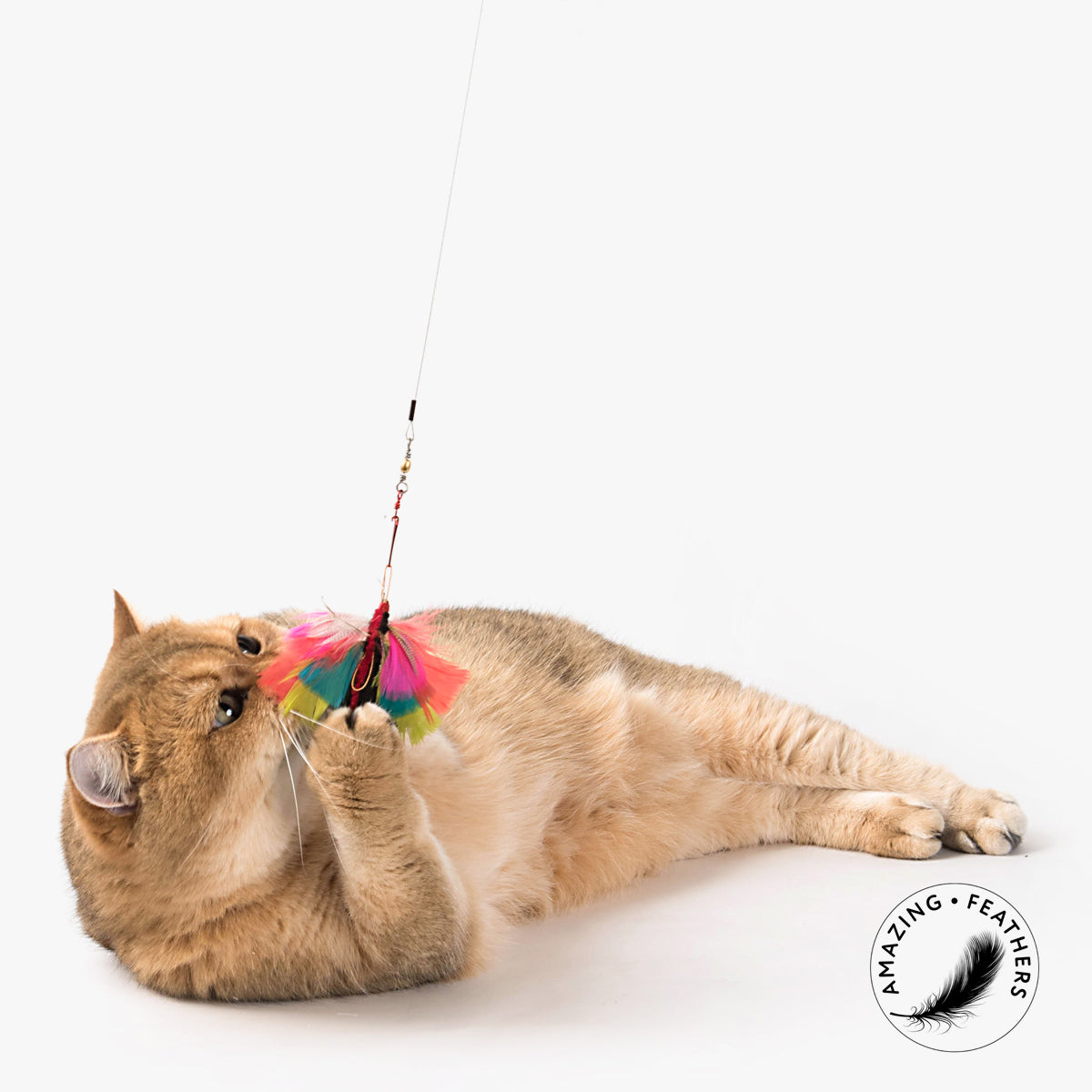 butterfly cat toy wand