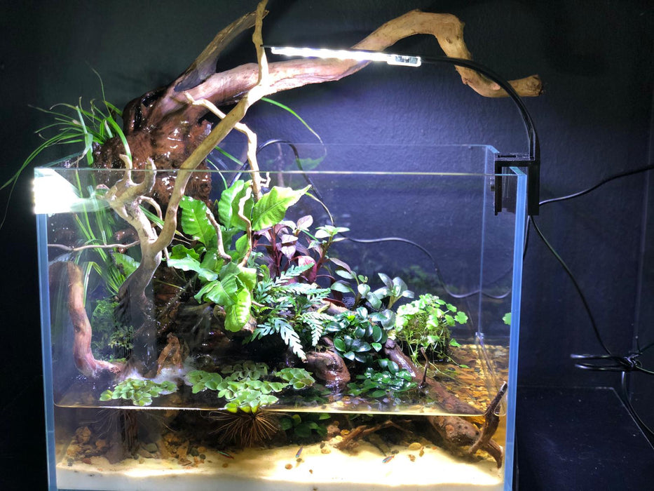 Reiziger misdrijf rijk PF Lux C+ Mini Aquarium Clip Led Lamp (30cm) — HouseofDiscus
