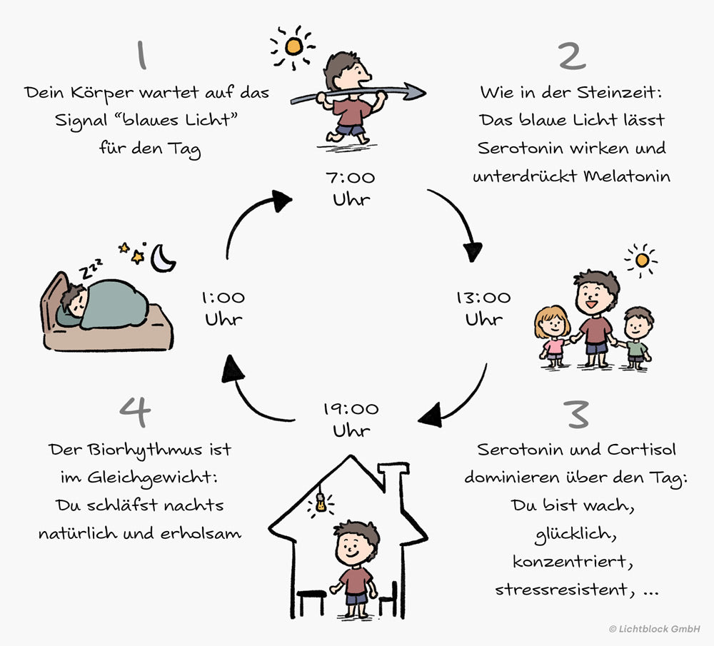 Blaues Licht als Signalgeber - Biorhythmus