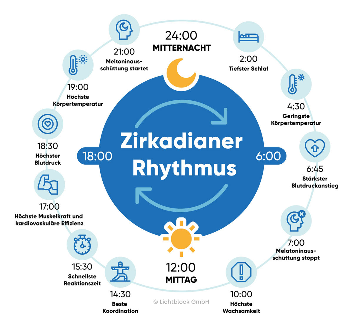 Der zirkadiane Rhythmus - 24 Stunden