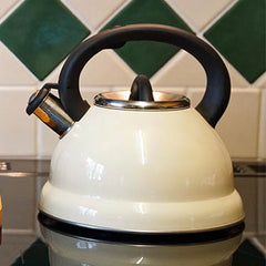 What Are the Different Types of Kettles?