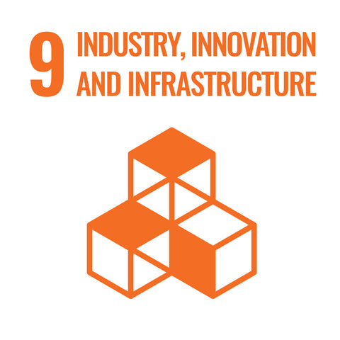 SDG 9: Industrie, Innnovation und Infrastruktur