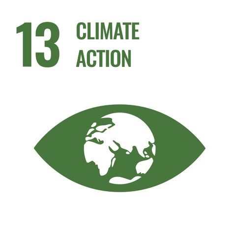 SDG 13: Klima Aktionen