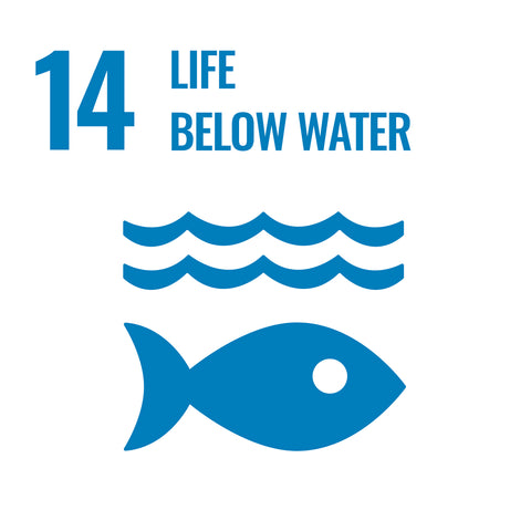 SDG 14: Leben unter dem Wasser