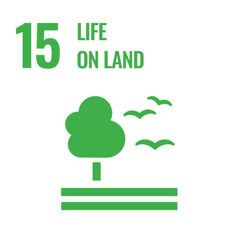 SDG 15: Leben auf dem Land