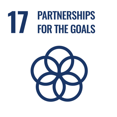 SDG 17: Partnerschaften zum Erreichen der Ziele