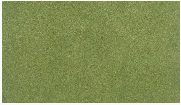 Woodland Scenics 5121 Spring Grass Mat 50'x100'