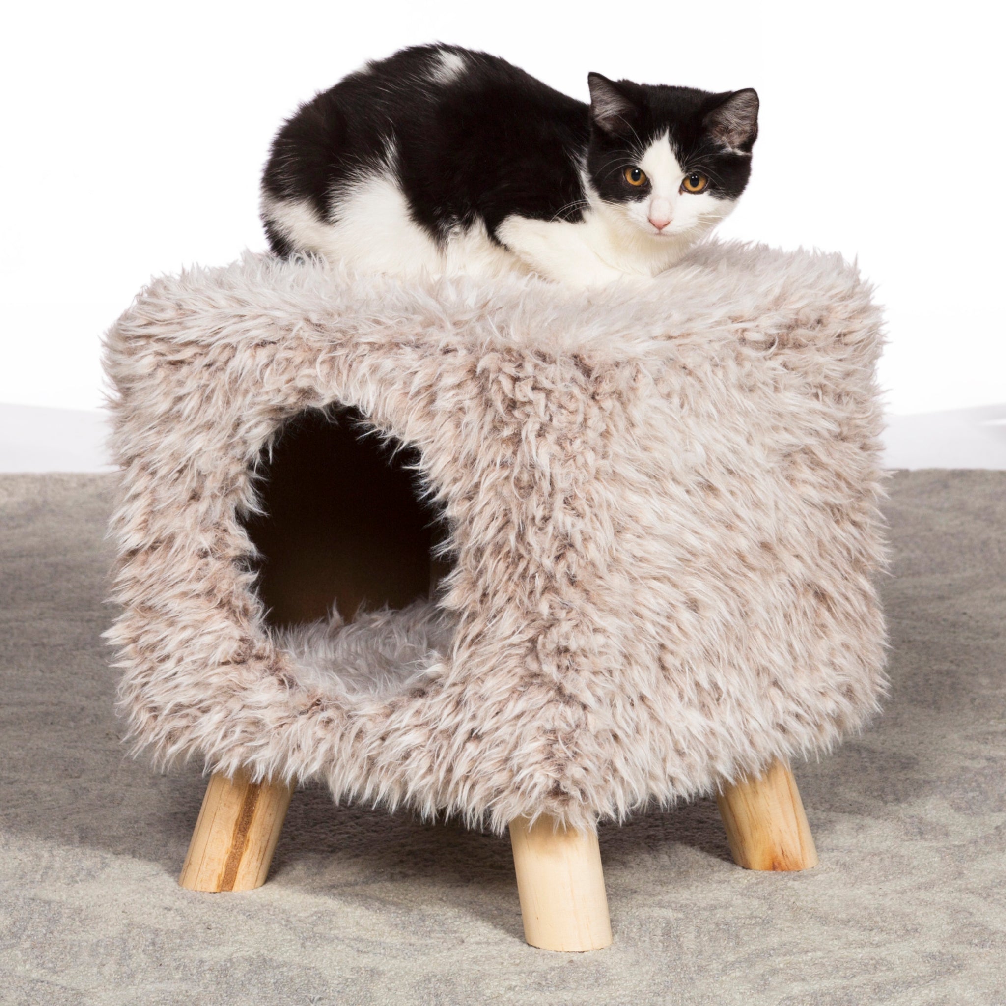 Cozy Cube Luxe Cat Hideaway from Prevue 