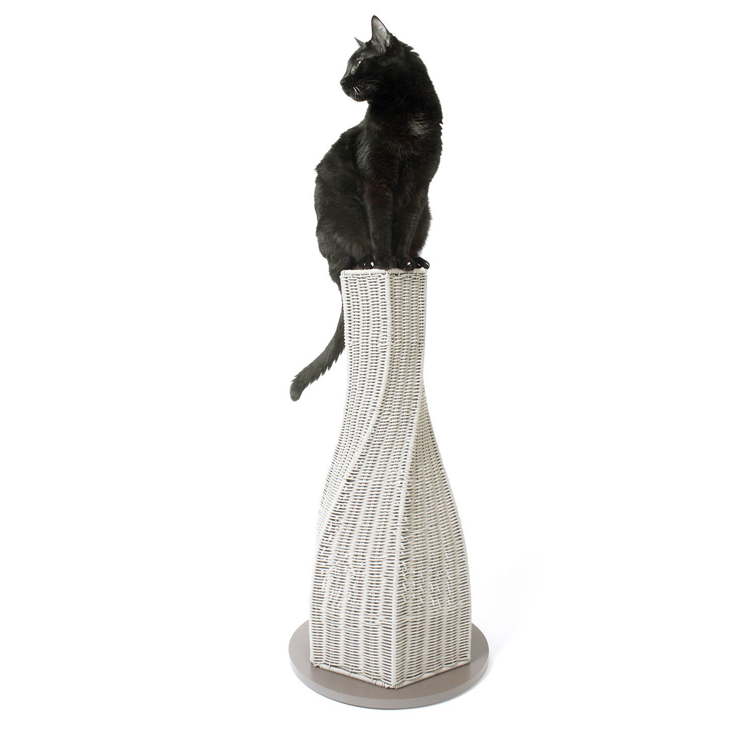 calypso cat scratcher